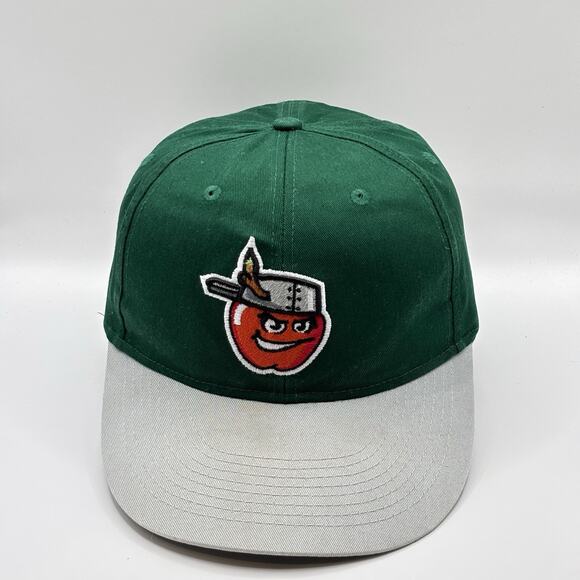 Fort Wayne Tin Caps SD Padres Hat MiLB Minor League Baseball Strapback, Adult - Picture 2 of 5